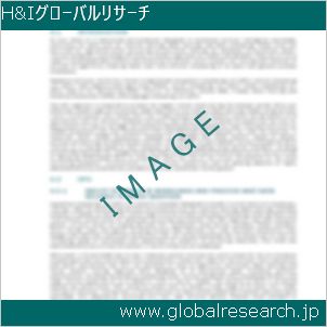 グローバルリサーチ調査レポートのイメージ